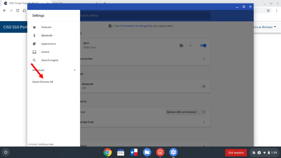 About Chrome OS Settings option