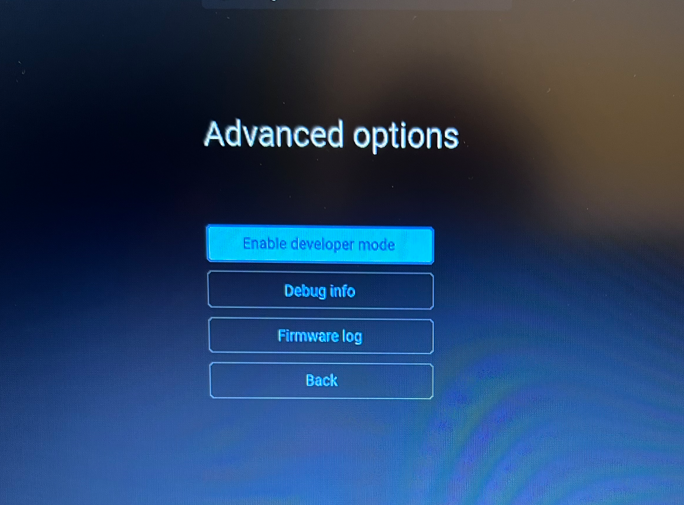 Advanced Options Chromebook screen