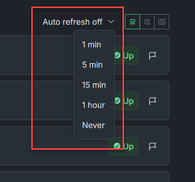 Screenshot of the Auto refresh menu opened, showing the choices 1 min, 5 min, 15 min, 1 hour, and Never.